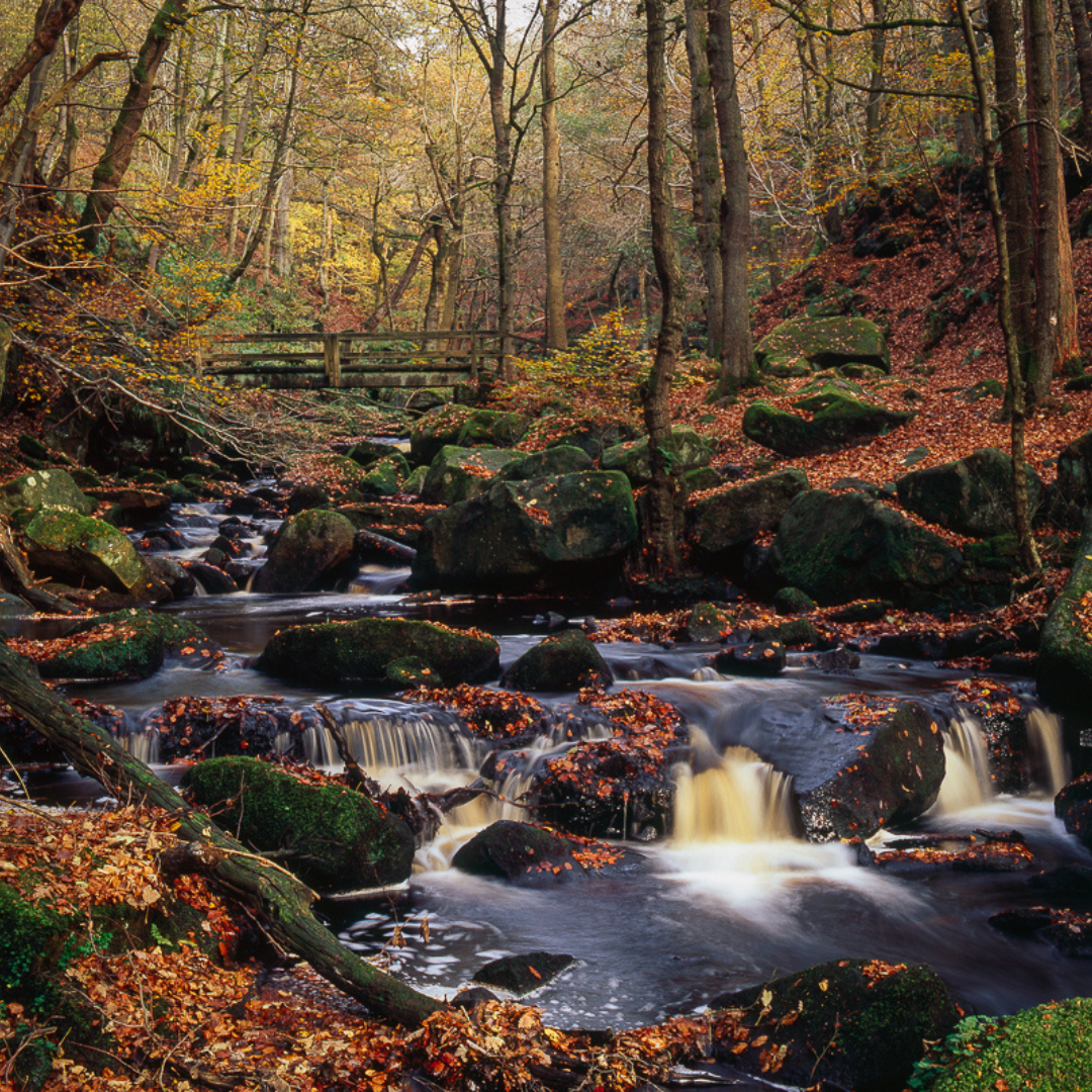 Winter Hike Destinations Across the UK: Embrace the Season