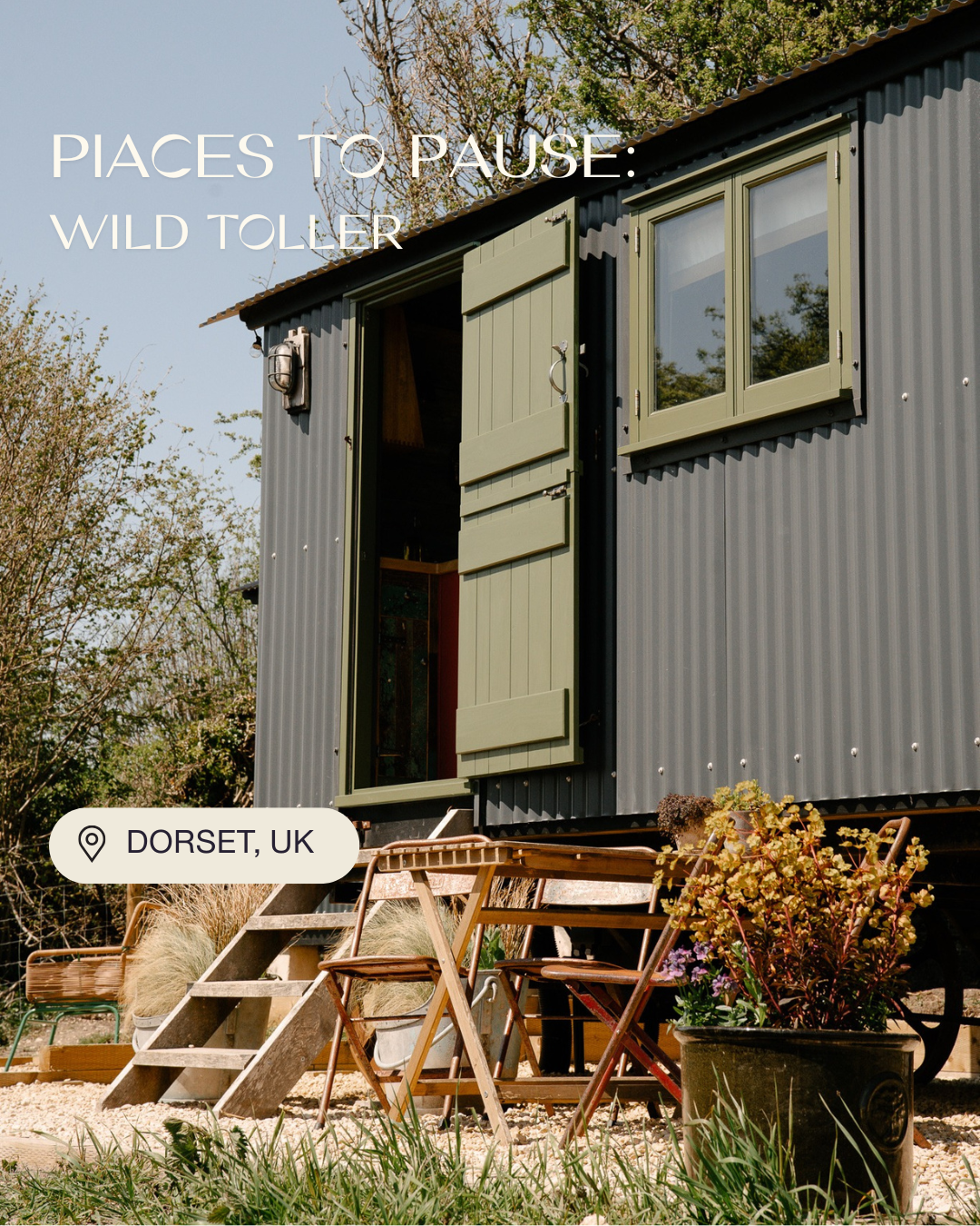 Places to Pause: Wild Toller, West Dorset